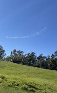 Los_Angeles Snapchat skywriting // 1170x1877 // 1.2MB