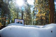 Jake's Snow Xi_Jinping Yosemite \ // 5184x3456 // 2.8MB