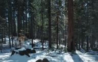 Snow Yosemite \ // 4383x2773 // 2.5MB