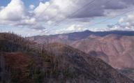 Myles' Stanislaus_National_Forest \ // 6639x4143 // 2.8MB