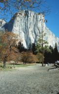 Yosemite \ // 2762x4405 // 3.1MB