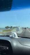 2009_Honda_Odyssey Florida Interstate_275 Sunshine_Skyway // 672x1232, 60s // 56.1MB