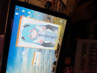 Apt Hatsune_Miku San_Jose Windows_10 // 4032x3024 // 3.7MB