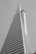 Grayscale Myles' San_Francisco Transamerica_Pyramid \ // 3035x4535 // 9.5MB