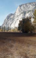 Vinny's Yosemite \ // 2752x4426 // 1.9MB