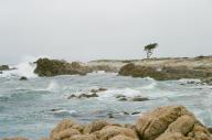 Monterey Pebble_Beach // 1565x1037 // 857.4KB