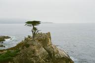 Monterey Pebble_Beach // 1565x1037 // 802.5KB