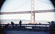 Bay_Bridge Myles' San_Francisco \ // 4394x2741 // 1.3MB