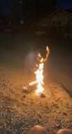 1983_Honda_Civic Humboldt_Street San_Jose bonfire // 1206x2208 // 490.1KB